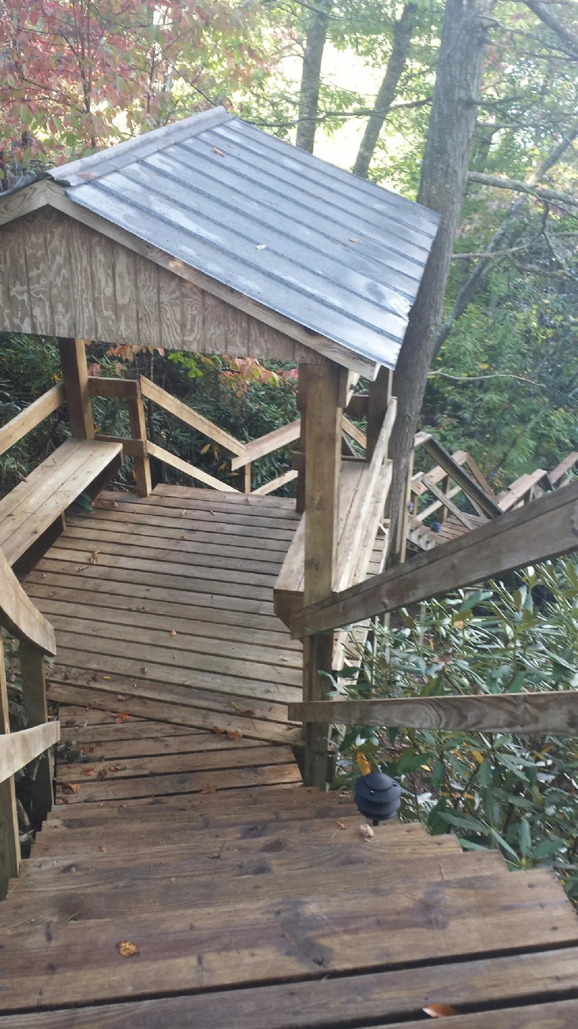 Metal roofed shelter over wooden steps on a wooded walkway in Charles Town
